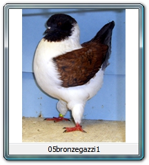 05bronzegazzi1